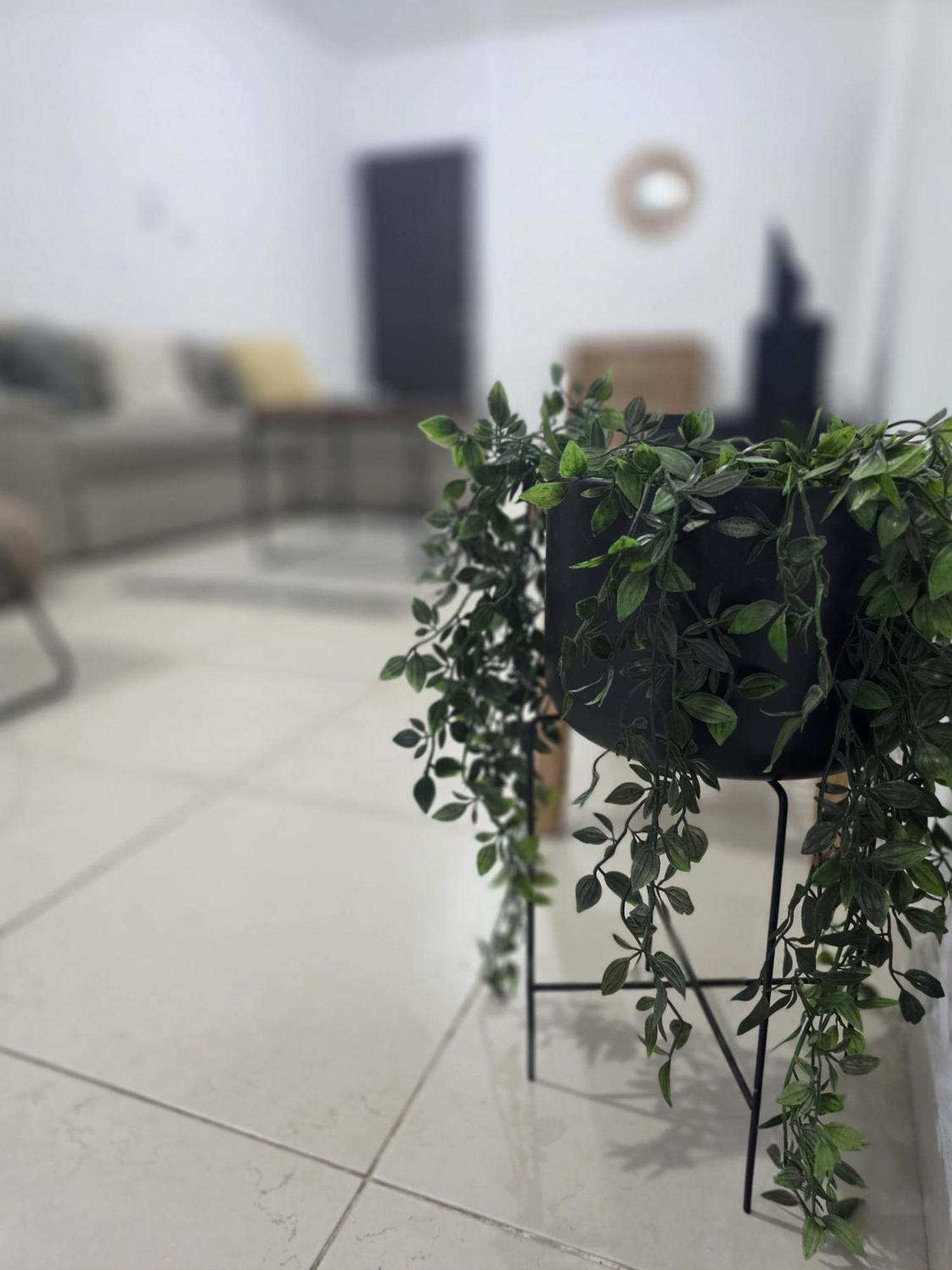 Epicurian Residence 니코시아 외부 사진