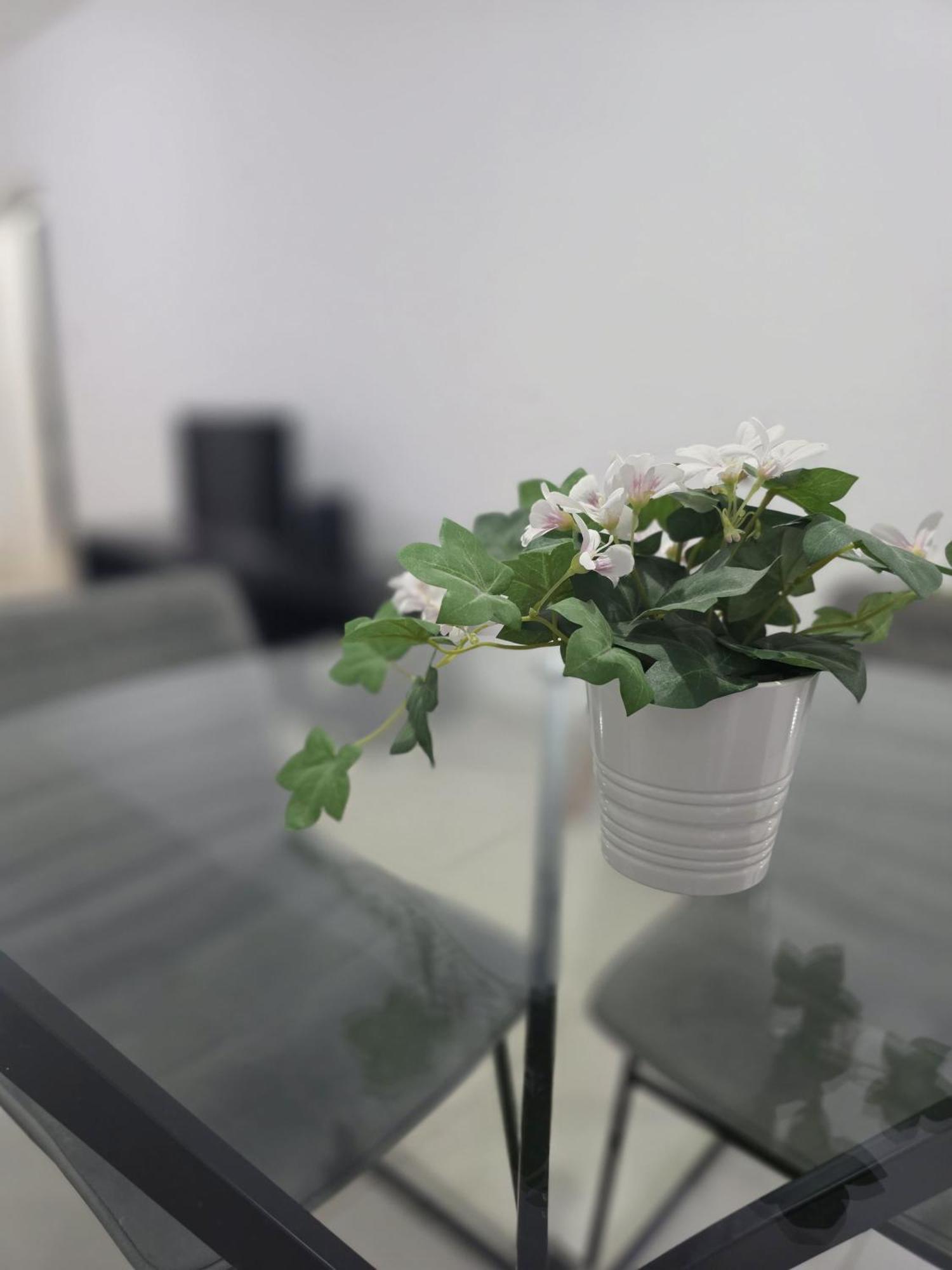 Epicurian Residence 니코시아 외부 사진